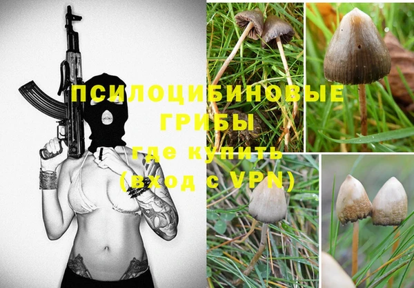 марки nbome Богородицк