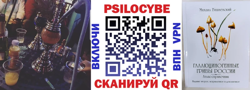 Галлюциногенные грибы прущие грибы  Кедровый 